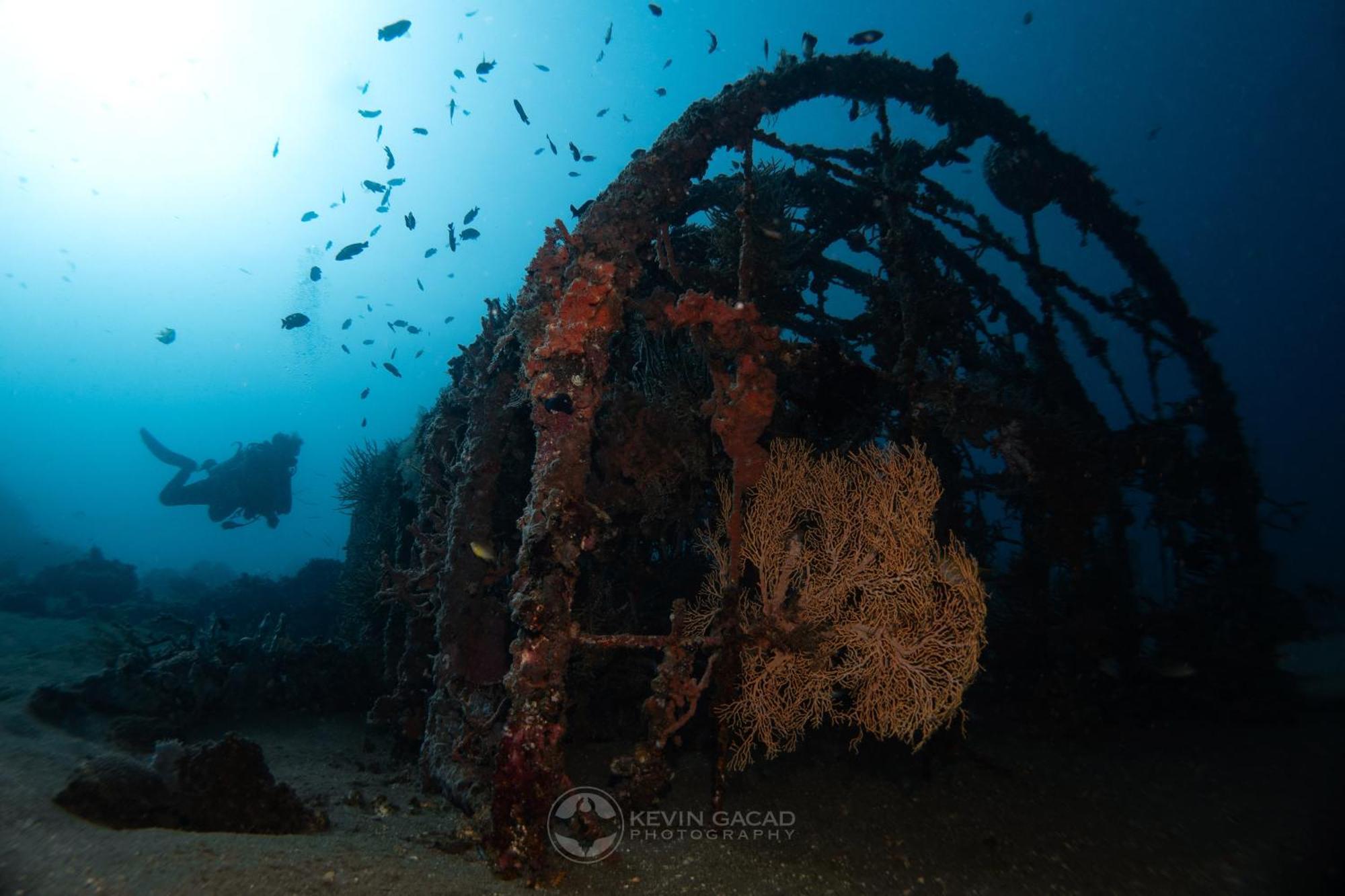 Vitaminsea Room Dauin Exterior photo
