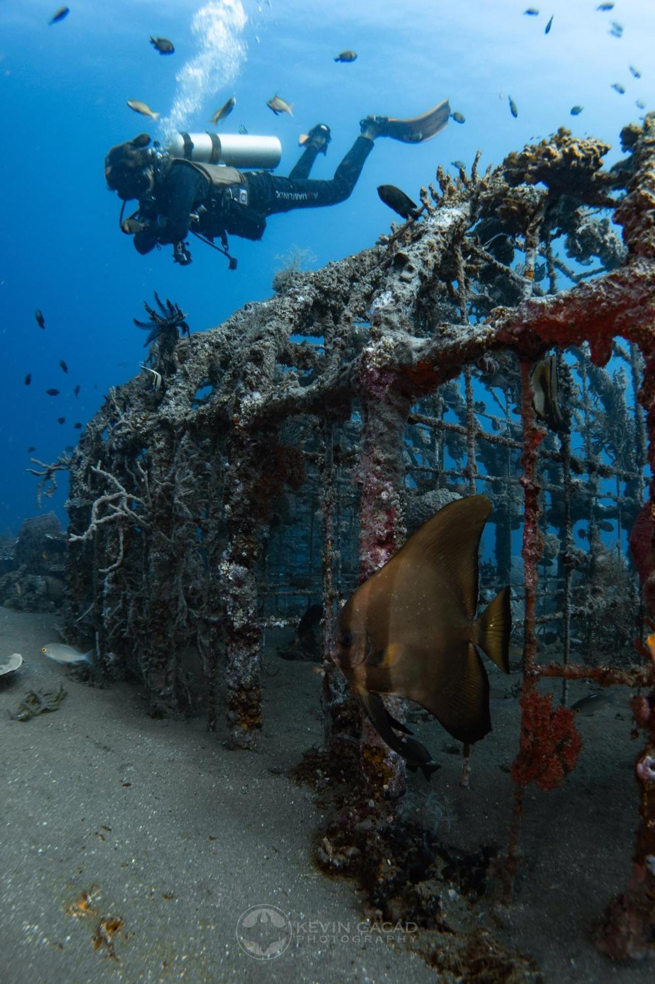 Vitaminsea Room Dauin Exterior photo