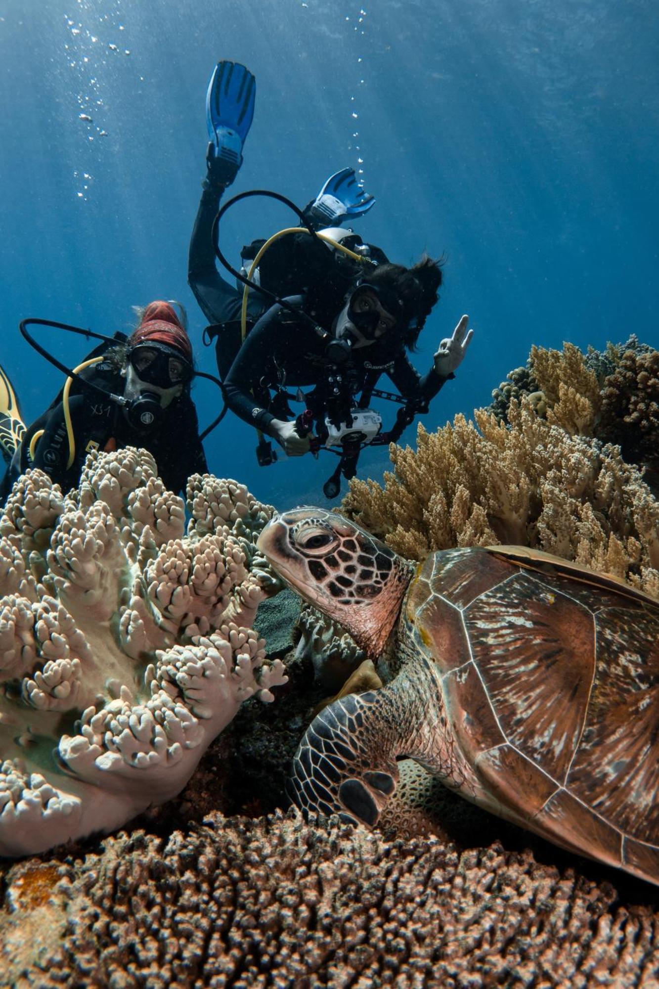 Vitaminsea Room Dauin Exterior photo