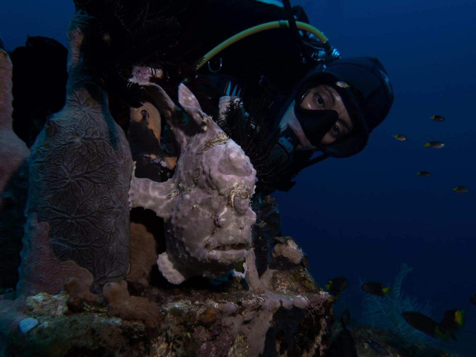 Vitaminsea Room Dauin Exterior photo