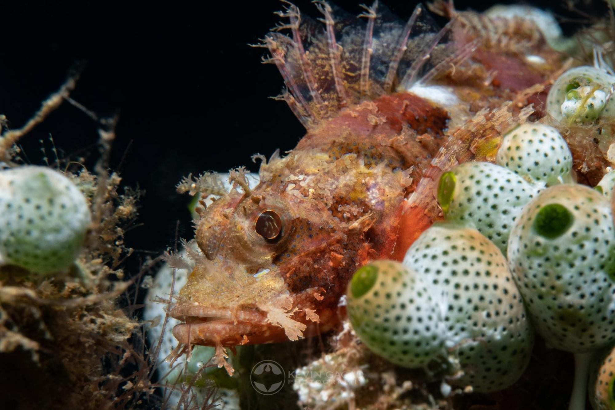 Vitaminsea Room Dauin Exterior photo